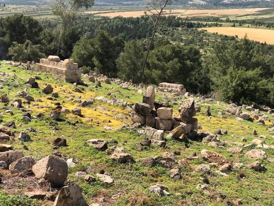 قرية لوبية / مدينة طبريا، عدسة إياد جابر